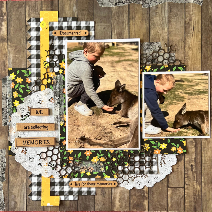 Sweet as Honey 2 Double Page Layout Scrapbooking Kit, thoughtfully designed using papers from PhotoPlay.