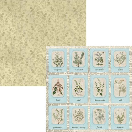 Delightful Discovery by Annette Green 12x12 inch scrapbook paper pack, 12 double-sided 250gsm sheets with 24 designs.