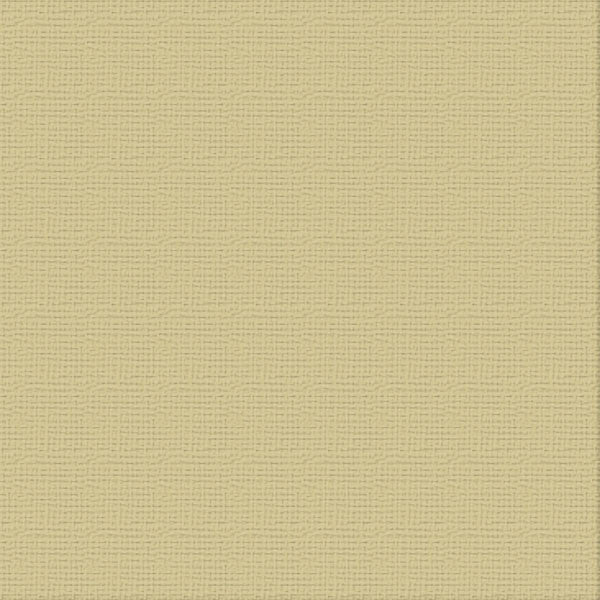 Premium Cardstock 12 x12 10 Sheets Driftwood