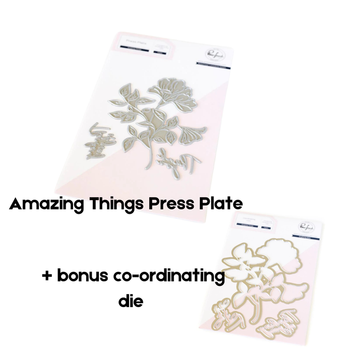 Pinkfresh Studio Amazing Things Press Plate packaging showing the floral and sentiment plates, with the bonus co-ordinating die shown alongside it.
