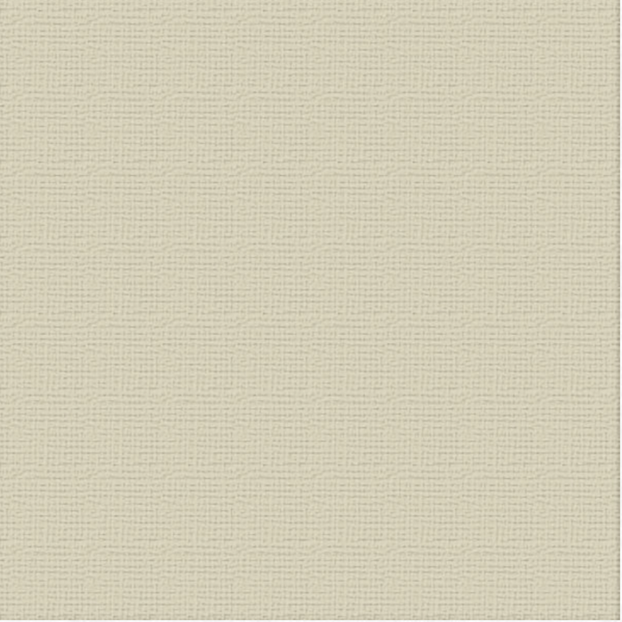 Premium Cardstock 12 x12 10 Sheets per Pack Delicate Medlar