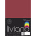 Liviano Colour 300gsm A4 Card Red