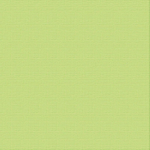 Premium Cardstock 12 x12 10 Sheets per Pack Green mantis