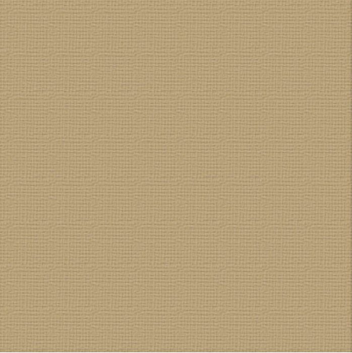 Premium Cardstock 12X12 10 Sheets Per Pack Selection Browns