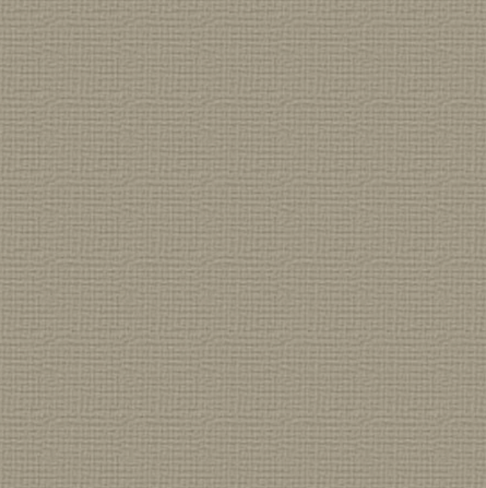 Premium Cardstock 12 x12 10 Sheets per Pack Neutrals Silver Star