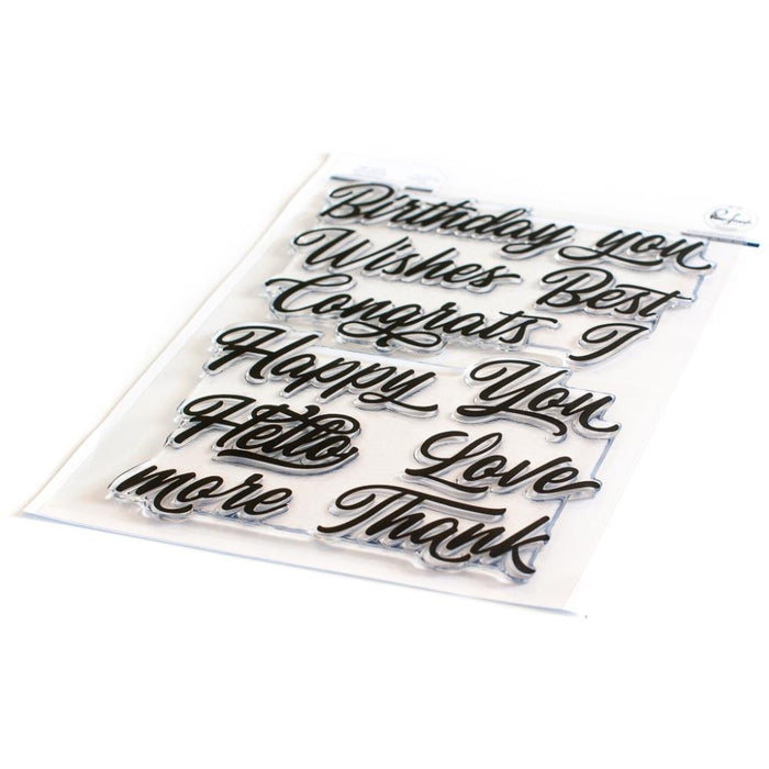 PINKFRESH STUDIO CLEAR STAMP SET 6X8INCH BRUSHED SENTIMENTS