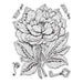 Couture Creations Stamp and Colour Stamp Peony CO728574