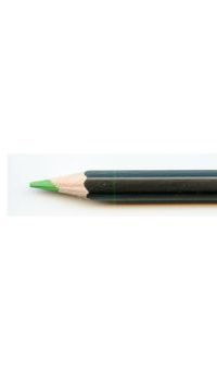 jasart-studio-pencil-grass-green
